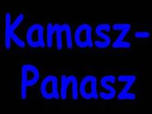 Kamasz-panasz