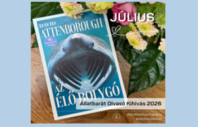 �llatbar�t Olvas� Kih�v�s – 2026. j�lius