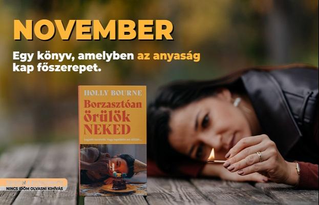 „Nincs időm olvasni” - kihívás 2025.11. „Nincs időm olvasni” - kihívás 2025.11.