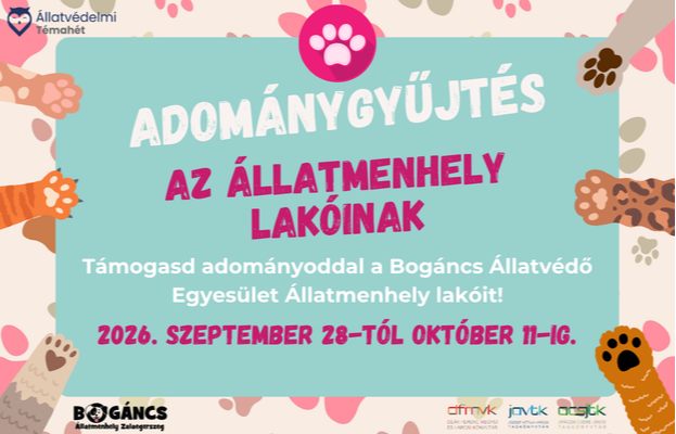 Adom�nygy�jt�s az �llatmenhely lak�inak 2026.