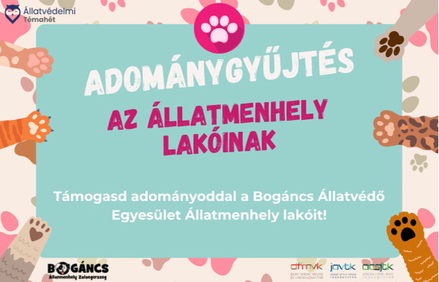 Adomnygyjts az llatmenhely lakinak 2024.