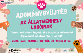 Adom�nygy�jt�s az �llatmenhely lak�inak 2026.