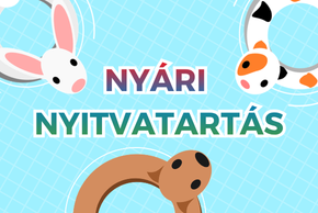 Nyári nyitvatartás 2026. Nyári nyitvatartás 2026.